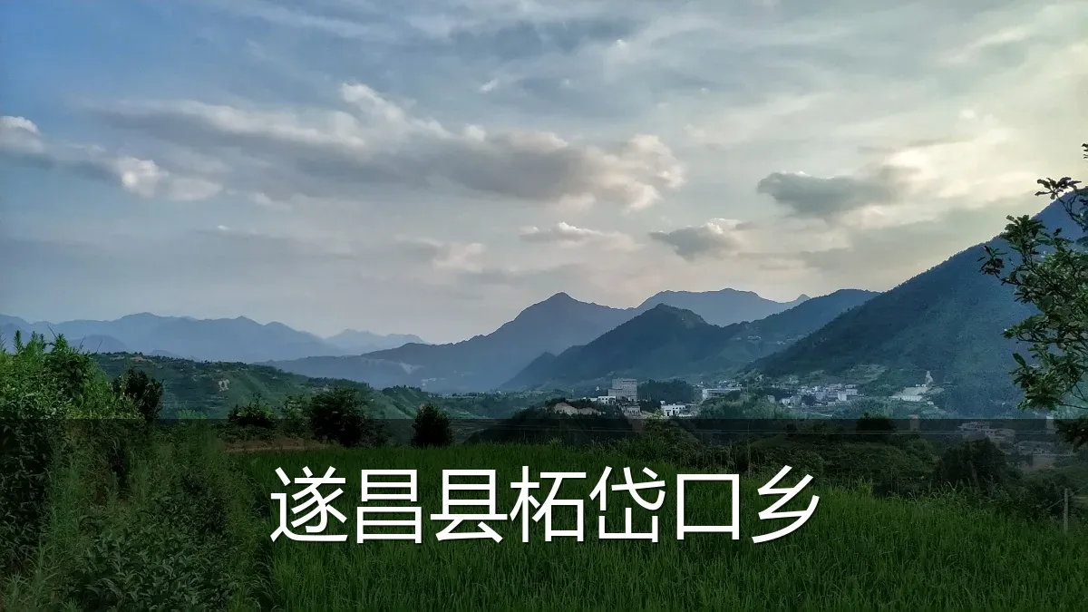 遂昌县柘岱口乡