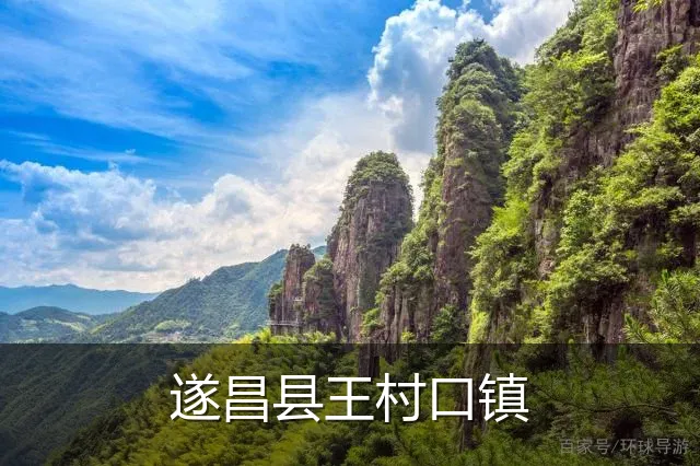 遂昌县王村口镇