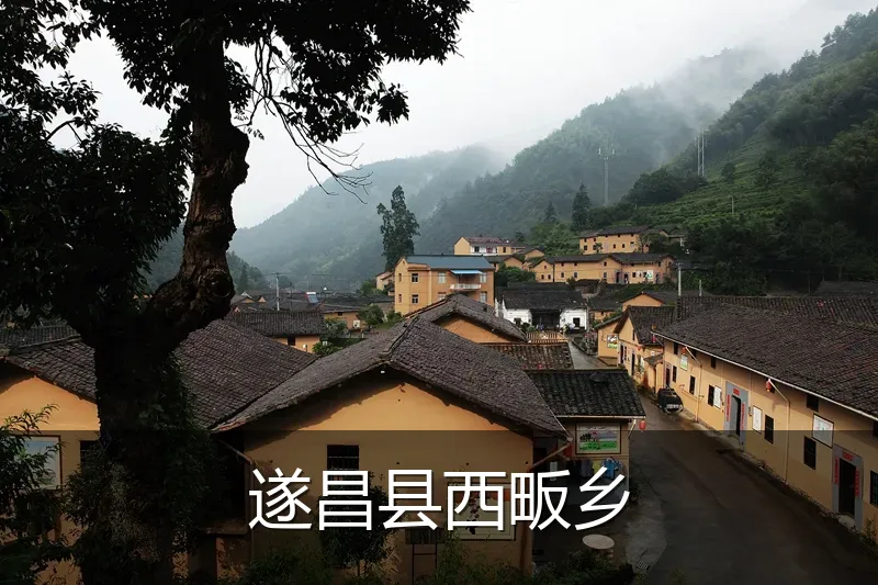 遂昌县西畈乡