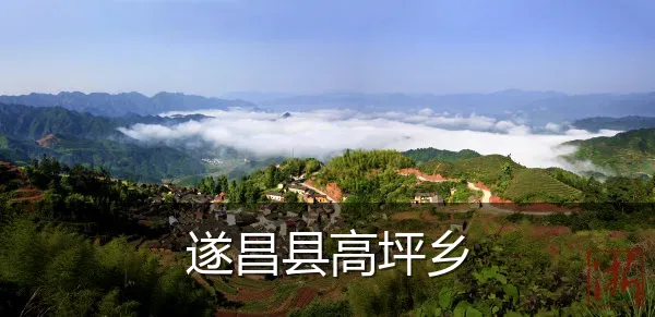 遂昌县高坪乡