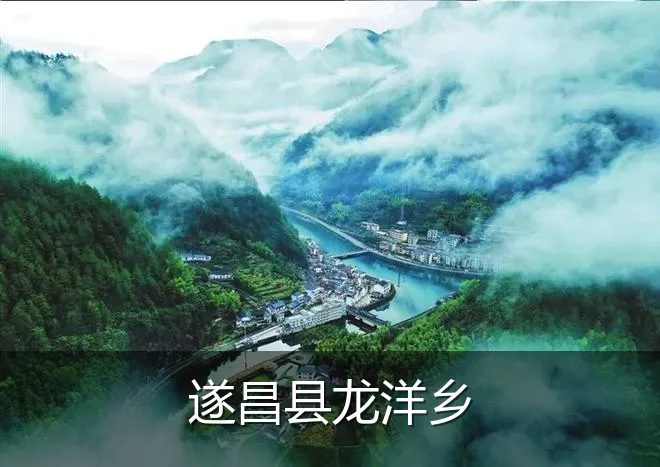 遂昌县龙洋乡