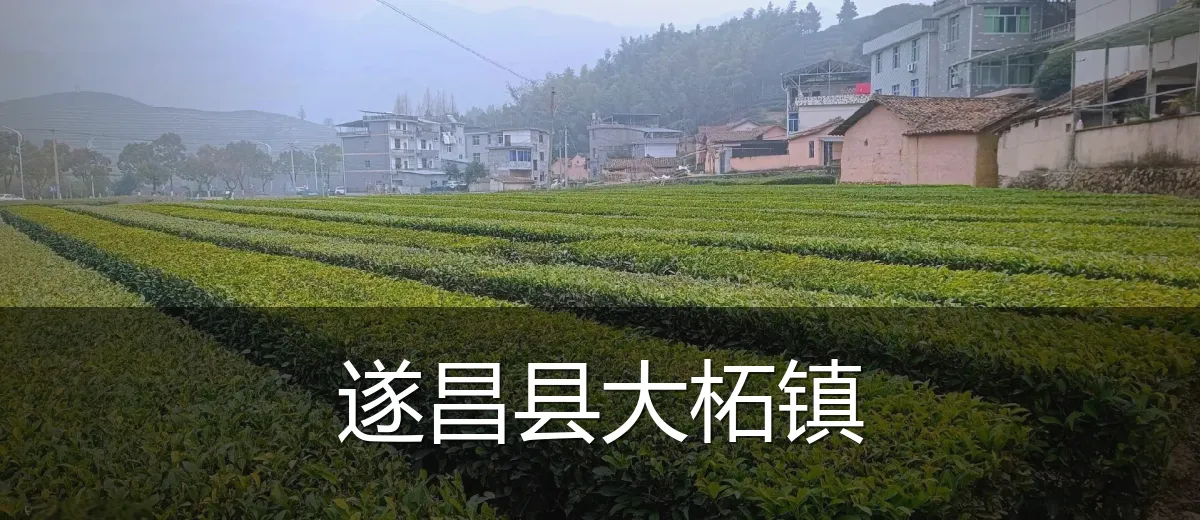 遂昌县大柘镇