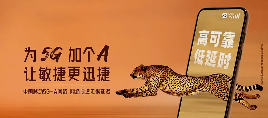 遂昌县遂昌县湖山乡 移动宽带