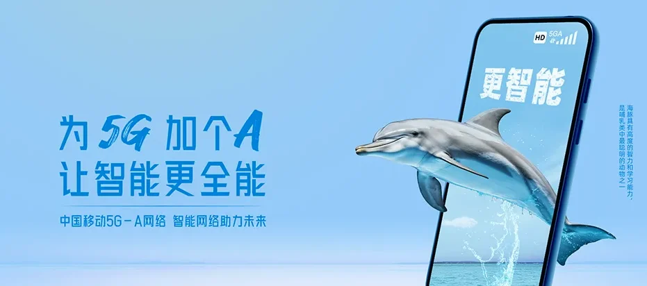 遂昌县遂昌县濂竹乡 移动宽带